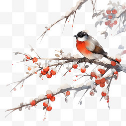 红色手绘树枝图片_霜降白霜柿子手绘小鸟国画元素