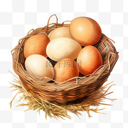 小鸭鸭蛋图片_水彩家养鸡蛋篮子免扣元素