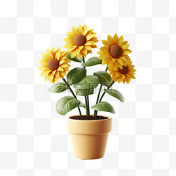 太阳太阳花图片_向日葵盆栽3D太阳花朵元素