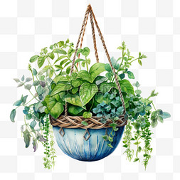 手绘水彩挂饰图片_水彩夏天绿色植物吊篮免扣元素