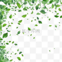 漂浮绿叶图片_漂浮或飘落的绿叶背景设计，带文