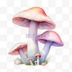淡粉色粉色图片_水彩淡粉色蘑菇免扣元素