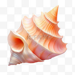 装饰贝壳图片_贝壳海螺写实元素装饰图案