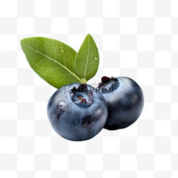 水果蓝莓摄影图元素
