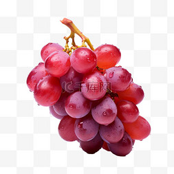 葡萄红提提子农产品水果