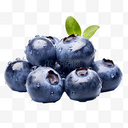 水果图片_水果蓝莓摄影图元素