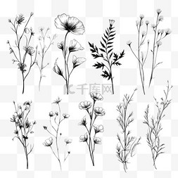 手绘线条树枝图片_花卉线条艺术植物水彩最小插图集