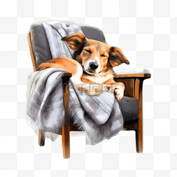 椅子毯子图片_狗睡在椅子上，铺着柔软的毯子