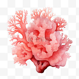 水彩粉色珊瑚免扣元素