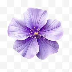 紫罗兰淡紫色黄色花蕊写实元素装