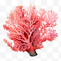 手绘海底植物图片_水彩好看粉色珊瑚免扣元素