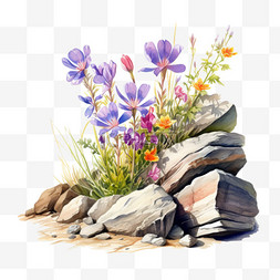 紫水彩图片_水彩紫花鲜花石头免扣元素