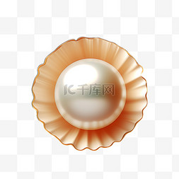 贝壳里的珍珠白色写实AI元素装饰