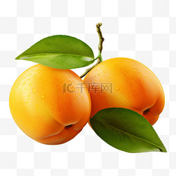 夏季水果两个黄桃新鲜水果