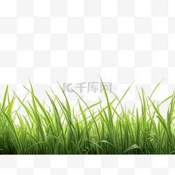 绿色小草叶子元素户外绿植