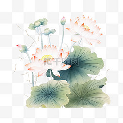 中国风新中式水墨画水彩画荷花