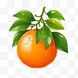 收获标点图片_收获秋季橘子柑橘秋天丰收蔬菜水
