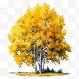 水彩黄色叶子白杨树木免扣元素