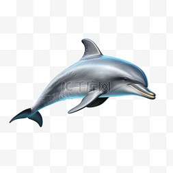 海豚海洋生物可爱AI元素立体免扣