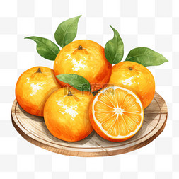 橘子手绘橘子图片_水彩卡通橙子木碟免扣元素