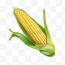玉米农产品AI元素立体免扣图案