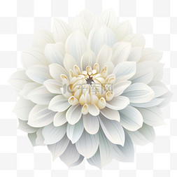 3d菊花图片_娇嫩花朵洁白俯视3D元素立体免扣