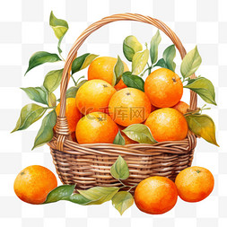 水彩美味橘子篮子免扣元素