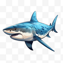 鲸鱼鲨鱼扁平动物可爱生动卡通绘