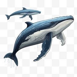 座头鲸扁平动物可爱生动卡通绘本