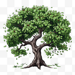 扁平植物荔枝树绿色清新绿植淡雅