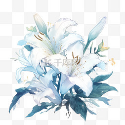 鲜花手绘元素百合花