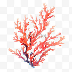 珊瑚海藻手绘元素卡通