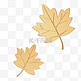 3D枫叶落叶叶片立体金色树叶叶子秋天秋季