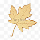 3D枫叶落叶立体金色树叶叶子秋天秋季