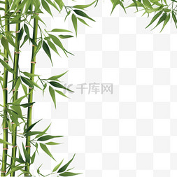 矢量树叶图片_矢量竹子竹叶绿色植物3