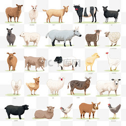农场动物收藏插图画风3