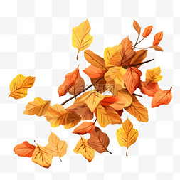 枯萎禾苗图片_一堆枯萎的树叶秋季落叶