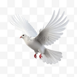 代表平安幸福的白鸽