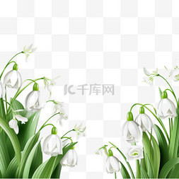 白色小花背景图片_春天花卉白色小花装饰边框4