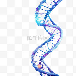 双螺旋基因DNA密码分子免扣装饰素