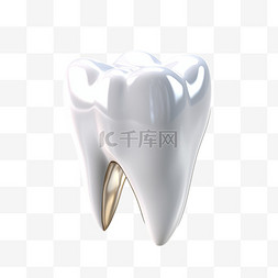 牙齿模型白色口腔医疗立体写实免