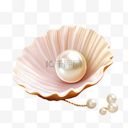 澳洲白珍珠图片_打开贝壳的珍贵珍珠