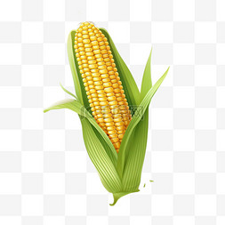 食品背景图片_一部简单的玉米卡通片