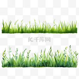 绿色植物新鲜图片_一组用水彩画绘制的草地边框