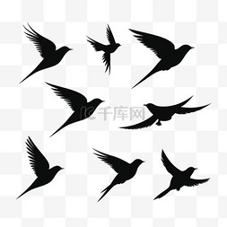 兰花纹身小图片_白色背景上飞翔的鸟儿的剪影。矢