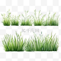 自然生长图片_一组用水彩画绘制的草地边框