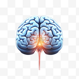 人脑素材图片_人脑中风的科学医学图解