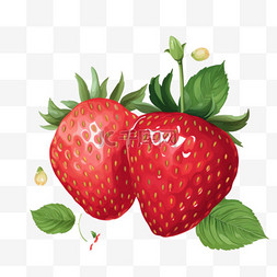 小红书笔记模板图片_海报与水果-主题水彩，创意草莓