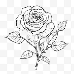 白玫瑰花图片_孤立的带叶玫瑰花线艺术