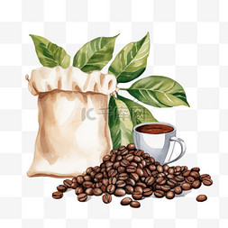 咖啡包装设计图片_咖啡豆枝叶包装袋、成型机、水彩